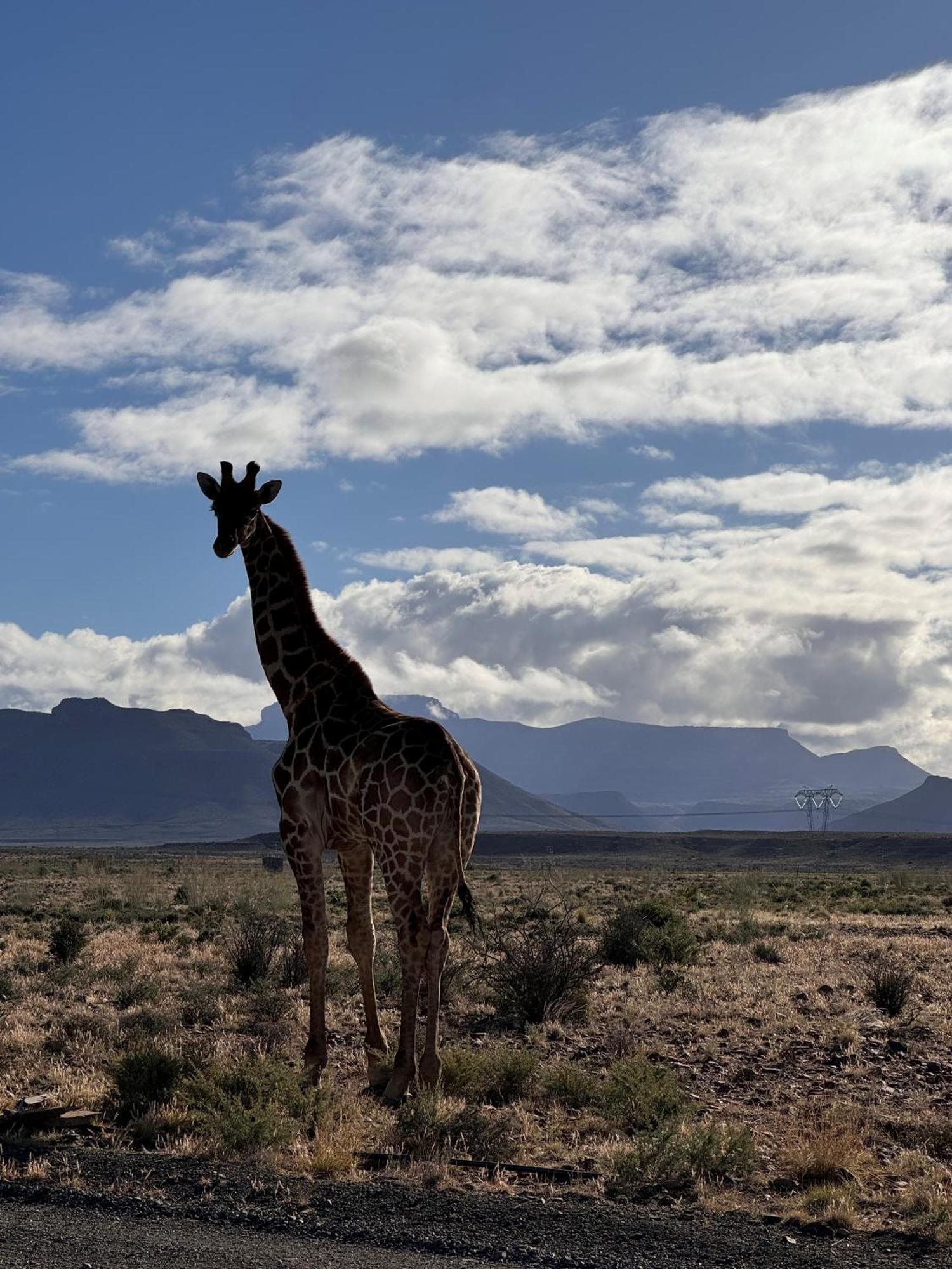 Teri-Lemveli Lodge Beaufort West Exteriér fotografie