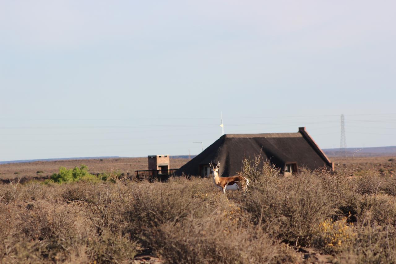 Teri-Lemveli Lodge Beaufort West Exteriér fotografie