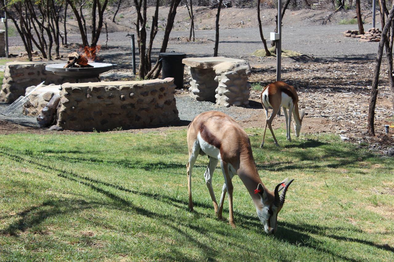Teri-Lemveli Lodge Beaufort West Exteriér fotografie